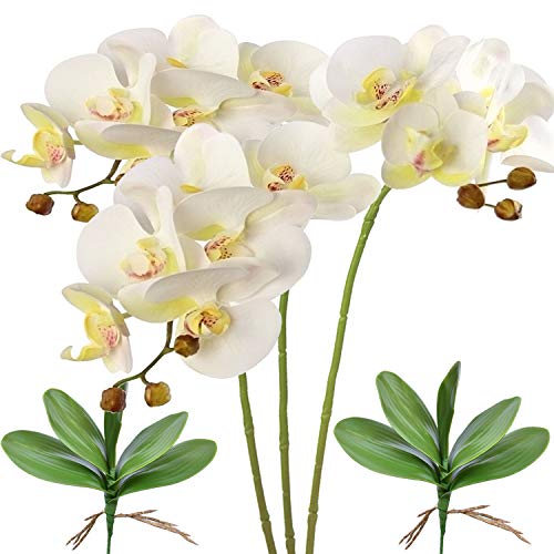 FagusHome 28 Pulgadas Flores Artificiales de Phalaenopsis 3 Piezas con 2 Paquetes Hojas Flores de orquídeas Artificiales Plantas de Tallo para decoración del hogar (Blanco)