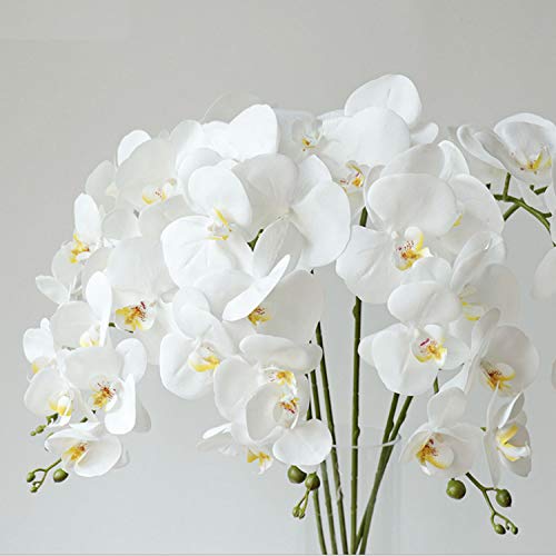 FagusHome 42" Flores Artificiales de Phalaenopsis 2 Piezas con 2 Paquetes de Hojas Flores de orquídeas Artificiales Plantas de Tallo para la decoración del hogar (D)