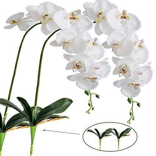 FagusHome Flores de Phalaenopsis de Seda Artificial de 41"2 Piezas con 2 Paquetes de Hojas Flores de orquídeas Artificiales Tallo Plantas en Flores Blancas Falsas para decoración (2)