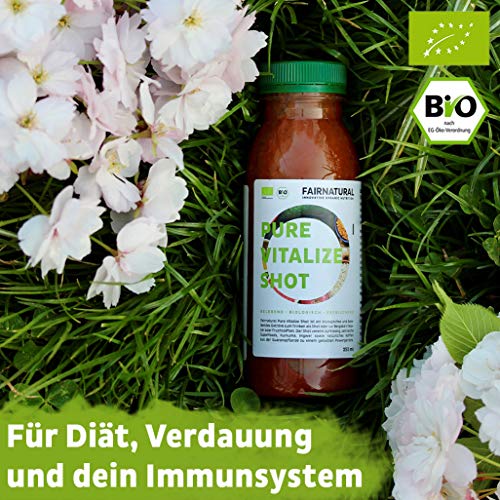 Fairnatural® Superfood Mix Vitalize Shot I Vinagre de manzana orgánico, jengibre, acerola, cúrcuma, extracto de té verde I Para la dieta, la digestión como antiinflamatorio (250ml)