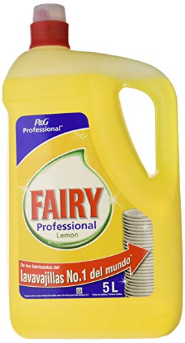 Fairy Dish Soap – Paquete de 2 X 5000 ML