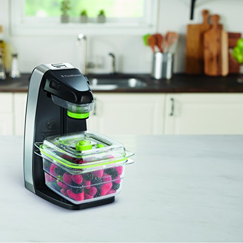 FoodSaver Fresh Appliance Envasadora al vacío, 25 W, Acero Inoxidable, Negro