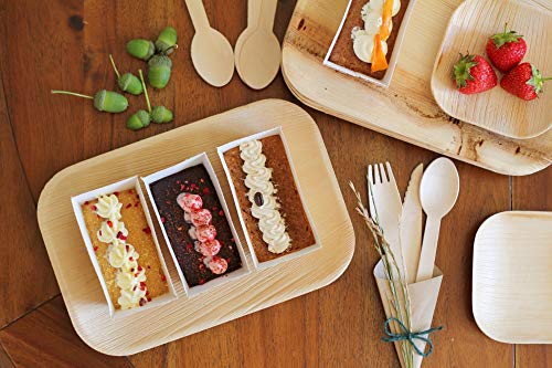 FOOGO Green 25 Bandejas de hoja de palma Desechable|25cmx15cm Rectangular Servir Ensalada|Postre, Aperitivo|Vajilla Ecológico Biodegradable Duro|Como Platos Bambu, Bandejas Plastico Aluminio