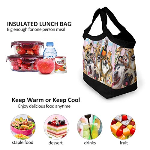 Funny Dogs and Gats Garden Party Women Lonchera térmica reutilizable bolsa de almuerzo contenedor de comida gourmet bolsa de almuerzo para la escuela, trabajo, oficina, niños y hombres