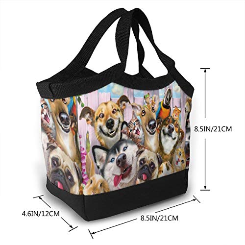 Funny Dogs and Gats Garden Party Women Lonchera térmica reutilizable bolsa de almuerzo contenedor de comida gourmet bolsa de almuerzo para la escuela, trabajo, oficina, niños y hombres