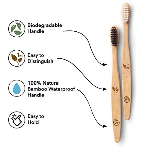 Greenzla Cepillos de Dientes de Bambú (Kit de 12) | Cepillos de Dientes de Carbón de Cerdas Suaves | Cepillo de Dientes de Bambú Natural y Ecológico | Madera Biodegradables y 100% Orgánicos