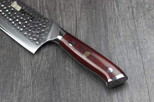 HAOYE Cuchillo de Chef de Damasco Cuchillo de Cocina Japonés de 25cm VG10 en Acero de Profesional Damasco Cuchillo de Cocina,Hoja Alargadora,Filo Permanente,Mango de Palo de Rosa