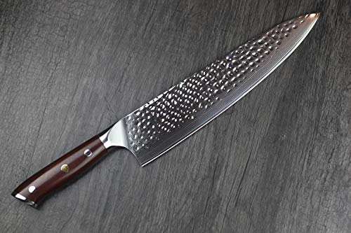 HAOYE Cuchillo de Chef de Damasco Cuchillo de Cocina Japonés de 25cm VG10 en Acero de Profesional Damasco Cuchillo de Cocina,Hoja Alargadora,Filo Permanente,Mango de Palo de Rosa