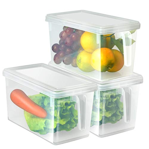 HapiLeap Organizador de Alimentos para Cocina/Congelador, contenedor Transparente con Tapa y Asa (3 Pack)