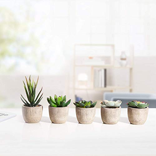 HB life 5 Piezas Plantas Suculentas Artificiales Plastico Maceta Decorativas, Plantas Artificiales Verdes para Casa, Cocina, Jardín Hogar Oficina Decoración