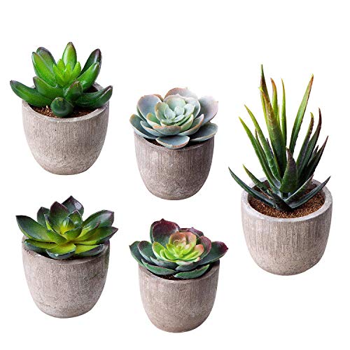 HB life 5 Piezas Plantas Suculentas Artificiales Plastico Maceta Decorativas, Plantas Artificiales Verdes para Casa, Cocina, Jardín Hogar Oficina Decoración