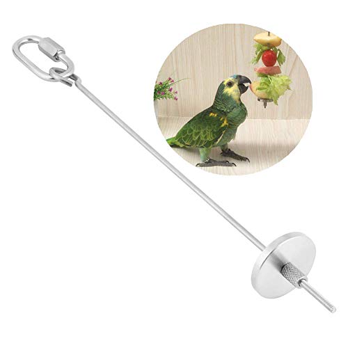 HEEPDD Pincho de Loro, Acero Inoxidable Loro Fruta Vegetal Carne Alimento Complemento para palitos Pequeño Animal Jaula de Jaula de forraje Juguete de forraje de Loros Herramienta de Tratamiento (L)