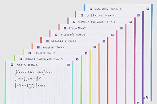 Hojas cuadriculadas A4 Recambio Oxford, School, 10 Banda colores, 160 Hojas, Cuadrícula 5x5, Multicolor