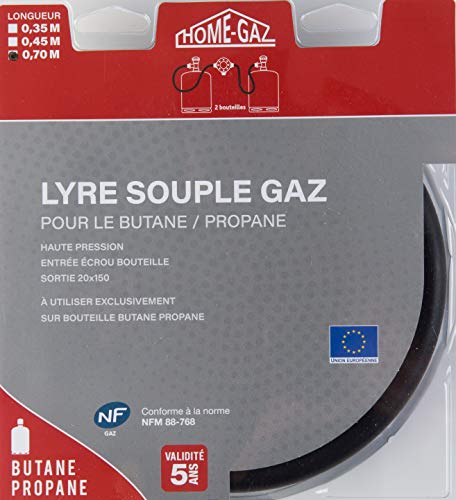 Home Gaz GAZ102 - Tubo flexible para gas (0,7 m)