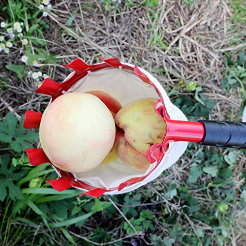 HSKB - Recogedor de Fruta con Cesta de algodón, Peso Ligero para Cosecha, Manzana, limón, Pera, melocotón