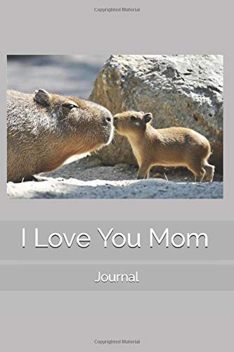 I Love You Mom: Journal [Idioma Inglés]