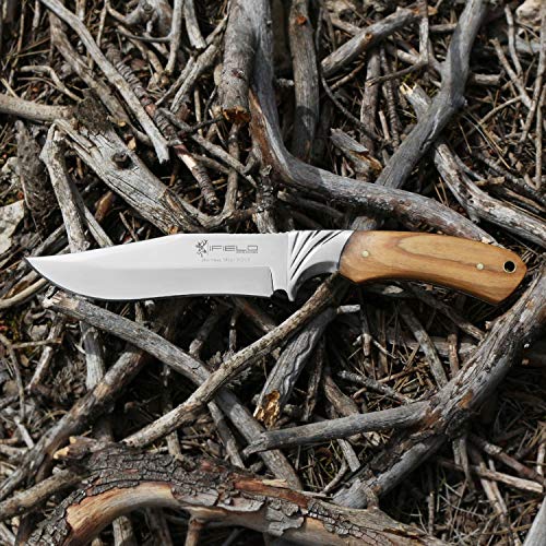 iFIELD Cuchillo de Caza Deportivo Camper EL29014, Mango Olivo, Hoja de 14 cms, Largo Total 26 cms, virola de Acero, Funda de Piel marrón, Herramienta de Camping para Pesca, Caza, Actividad Deportiva