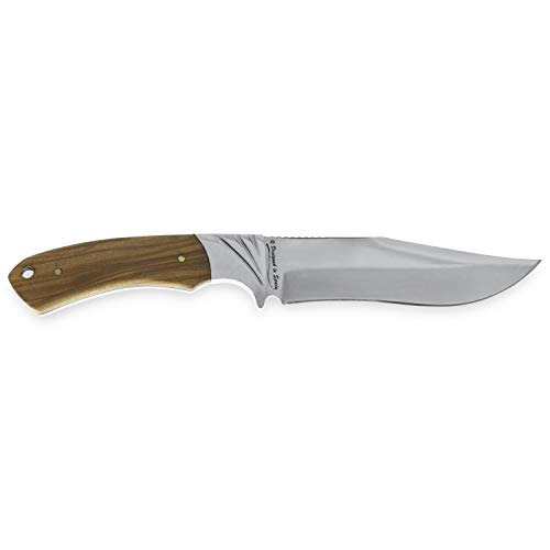 iFIELD Cuchillo de Caza Deportivo Camper EL29014, Mango Olivo, Hoja de 14 cms, Largo Total 26 cms, virola de Acero, Funda de Piel marrón, Herramienta de Camping para Pesca, Caza, Actividad Deportiva