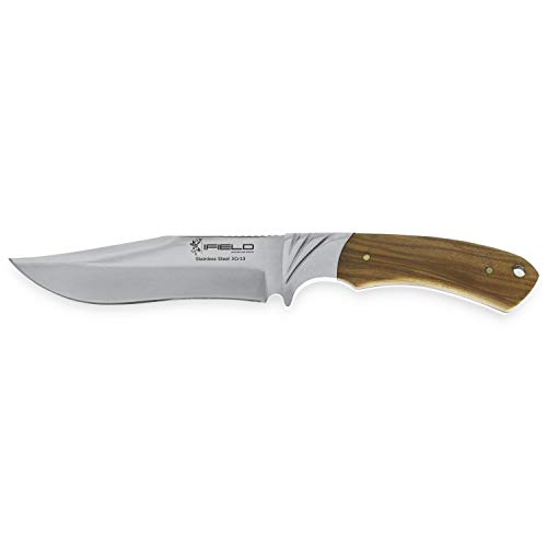 iFIELD Cuchillo de Caza Deportivo Camper EL29014, Mango Olivo, Hoja de 14 cms, Largo Total 26 cms, virola de Acero, Funda de Piel marrón, Herramienta de Camping para Pesca, Caza, Actividad Deportiva