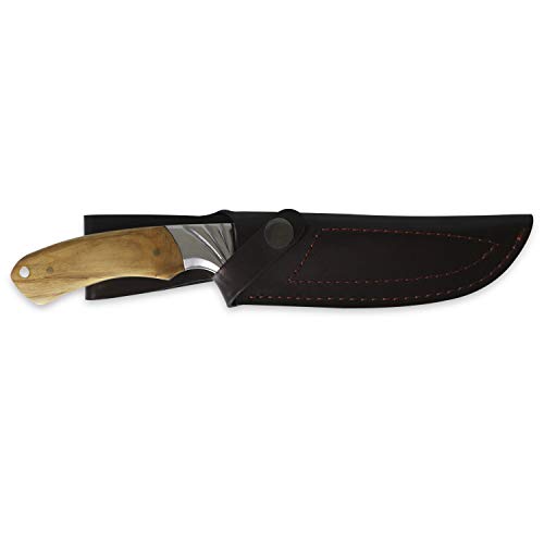 iFIELD Cuchillo de Caza Deportivo Camper EL29014, Mango Olivo, Hoja de 14 cms, Largo Total 26 cms, virola de Acero, Funda de Piel marrón, Herramienta de Camping para Pesca, Caza, Actividad Deportiva