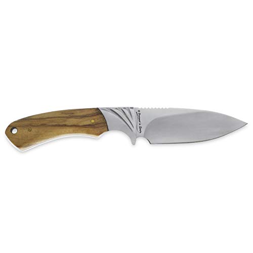 iFIELD Cuchillo de Caza Deportivo Camper EL29018, Mango de Olivo, Hoja de 10,8 cm, Acabado Pulido, virola de Acero, Funda de Piel marrón, Herramienta de Camping para Pesca, Caza, Actividad Deportiva