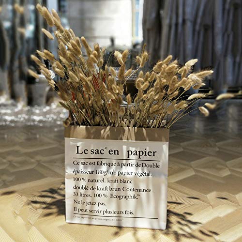 INHEMI 2 Sacos Grandes Papel Kraft,Bolsa de Almacenamiento de Papel,Le Sac En Papier Paper Bag para Guardar Juguetes ,Ropa y Otros Artículos