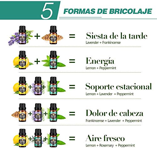 Innoo Tech Aceites Esenciales para Humidificador, Eucalipto, Bergamota, Lavanda, Limón, Incienso, Dolve de Naranja, Menta, Ylang-yang, etc (12 * 10ml)