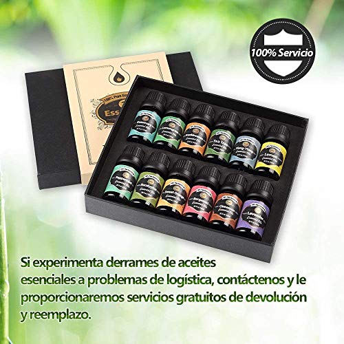 Innoo Tech Aceites Esenciales para Humidificador, Eucalipto, Bergamota, Lavanda, Limón, Incienso, Dolve de Naranja, Menta, Ylang-yang, etc (12 * 10ml)