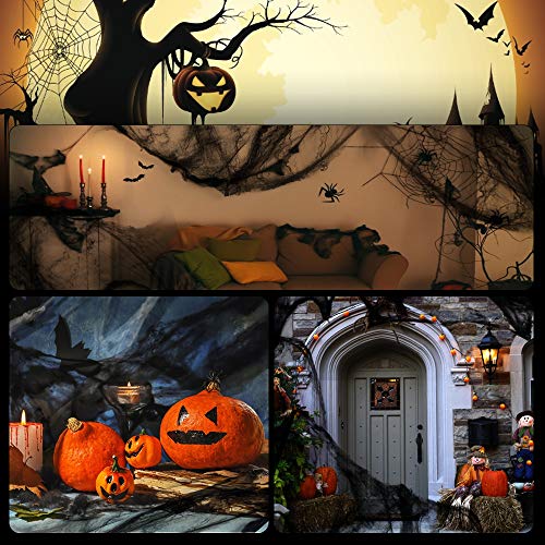 Innoo Tech - Red de arañas para Halloween, decoración para puerta con 60 g de tejido elástico y 25 arañas para Halloween, color negro