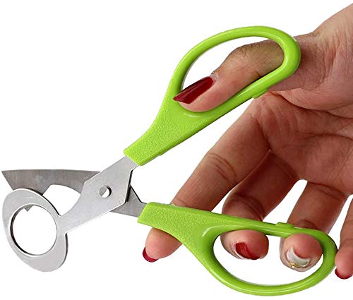 JAHEMU Tijera Huevo Codorniz Acero Inoxidable Codornices Huevo Tijeras Paloma Codorniz Huevo Tijeras para Hogar Cocina de Utensilios Verde 2Pcs