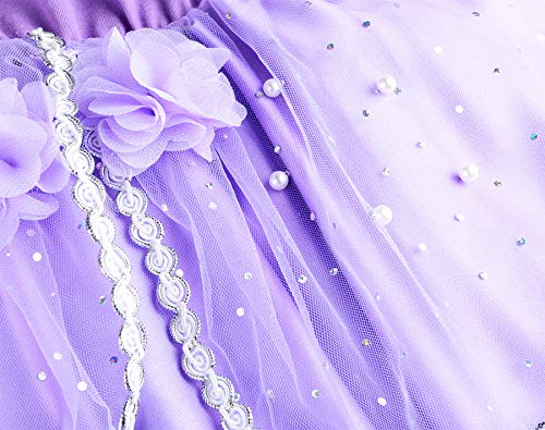 JerrisApparel Niña Disfraz de Princesa Sofía Tul Cumpleaños Partido Vestido (2 años, Morado)