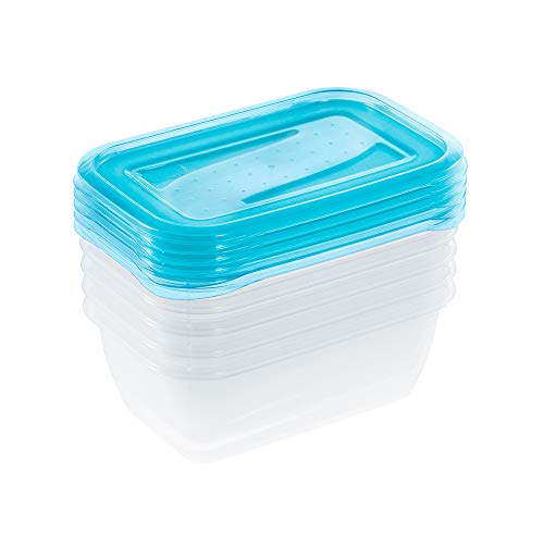 keeeper Set de 5 Fiambreras, 5 x 500 ml, 15,5 x 10,5 x 6 cm, Fredo Fresh, Azul transparente