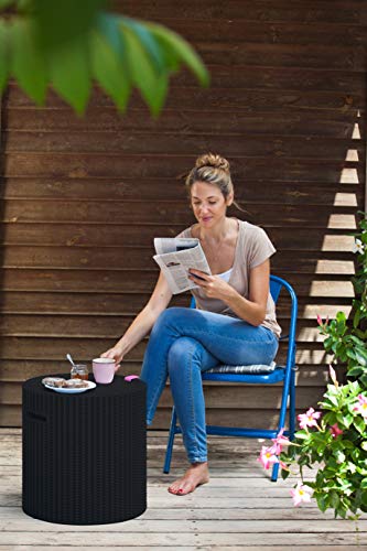 Keter - Mesa nevera para jardín Cool Stool, Capacidad 39 litros, Color marrón