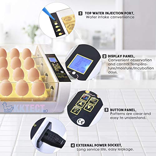 KKTECT Incubadora de 24 Huevos Incubadora Automática Integrada Incubadora Termostática Incubadora casera de Aves de Corral de Laboratorio Pollo Ave Huevo Incubadora