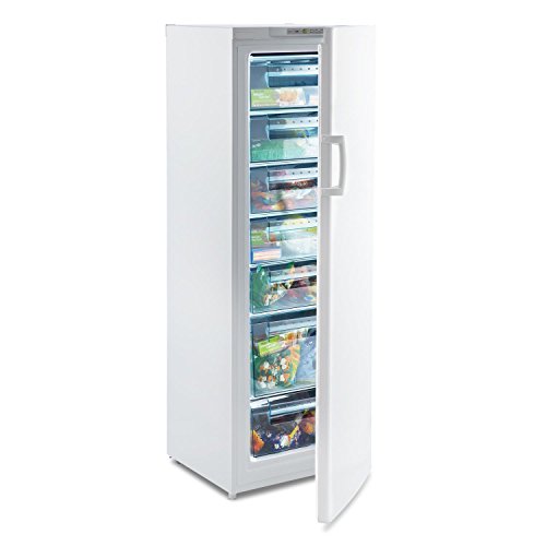 Klarstein Iceblokk 225 - Congelador de 4 estrellas, 212 litros, 7 pisos, 170 cm de alto, Modo flash free, Temperatura de -16 a -22 °C, Consumo anual 198 kWh, Puerta intercambiable, Blanco