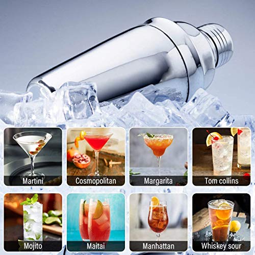 KUYUC 17 Piezas Juego de Coctelera Set con Accesorios, Profesional Juego de Bartender, Coctelera de Cóctel Conjunto para Martini Gin Tonic Mojito (Size : 750ml shaker)