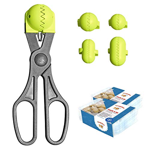 La Croquetera Pack- Utensilio Multiusos Color Pistacho - 4 moldes Intercambiables para masas + Pack 40 Bandejas conservación - 100% español : Patentado y Fabricado en España