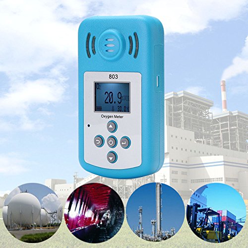 LaMei Yang Detector de oxígeno Fino, medidor de oxígeno Detector de concentración de oxígeno O2 portátil, con Pantalla LCD y Alarma de luz y Sonido, para metalurgia, Planta de energía