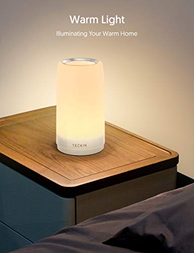 Lampara Mesilla de Noche,Luz Nocturna LED,Lámpara de Mesa,Control Tactil,Regulable,TECKIN Lámpara de Tabla de Decoración con Modo RGB y Luz Blanca Caliente,256 Luces de Color