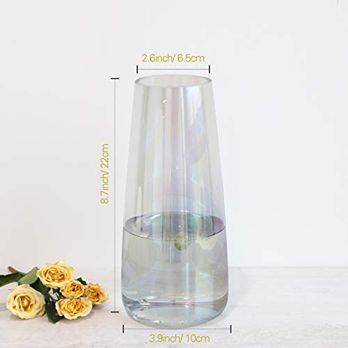 Lewondr Florero de Flor Cristal, 8.7inch Florero Jarrone Vidrio Elegante Decorativo de Estilo Ins, Botella de Flor, Planta de Decoración para Fiestas, Patio, Oficina, Hogar, Cocina, Regalo - Colorido