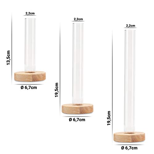 LUUK LIFESTYLE Set de decoración con Tubo de ensayo, jarrón Decorativo, jarrón de Vidrio, florero, Set de jarrones, jarrón de Vidrio pequeño, Redondo, Transparente, jarrón de Madera de ensayo