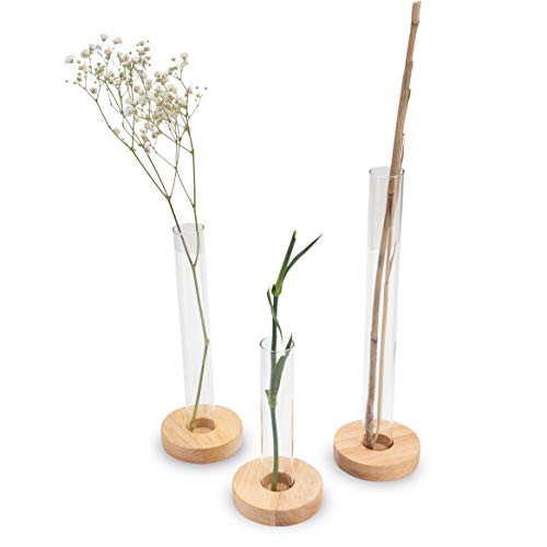 LUUK LIFESTYLE Set de decoración con Tubo de ensayo, jarrón Decorativo, jarrón de Vidrio, florero, Set de jarrones, jarrón de Vidrio pequeño, Redondo, Transparente, jarrón de Madera de ensayo