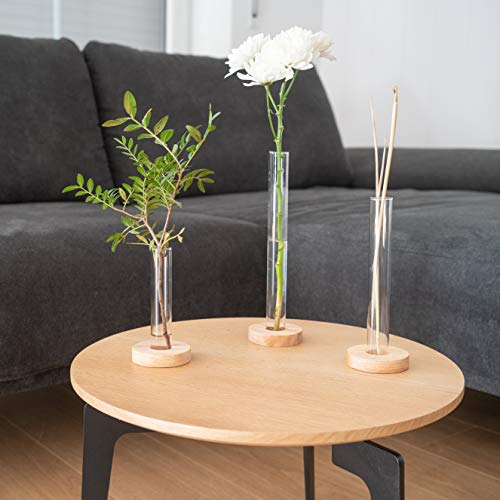 LUUK LIFESTYLE Set de decoración con Tubo de ensayo, jarrón Decorativo, jarrón de Vidrio, florero, Set de jarrones, jarrón de Vidrio pequeño, Redondo, Transparente, jarrón de Madera de ensayo