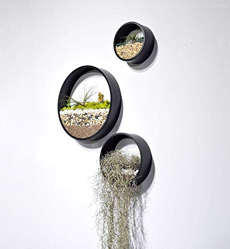 Macetas Colgantes Pared Modernas,Maceta para Flores Pared Colgante Florero DIY Bonsáis con Soporte Extraíble para Sala de Estar Ronda Metal Vaso Jarrones Macetero Plantador con Orificio Drenaje