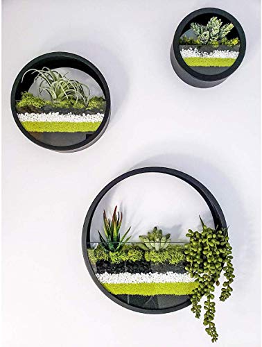 Macetas Colgantes Pared Modernas,Maceta para Flores Pared Colgante Florero DIY Bonsáis con Soporte Extraíble para Sala de Estar Ronda Metal Vaso Jarrones Macetero Plantador con Orificio Drenaje