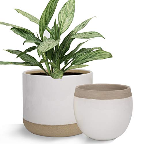 Macetas de cerámica blanca para plantas – 6.5 pulgadas paquete 2 macetas interiores con detalles beige y agrietados