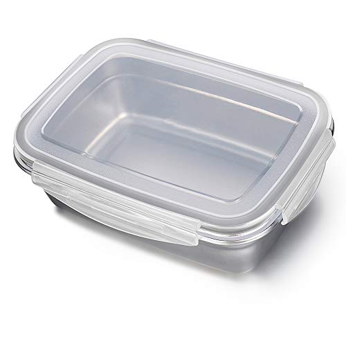 Merysen Conjunto de 2 Fiambreras Caja de Acero Inoxidable, Caja de Almuerzo con Tapa de Plástico, Caja de Alimentos Ideal para Almuerzos Escolares y Ensalada (Grande: 850 ml, Pequeño: 350 ml, Gris)