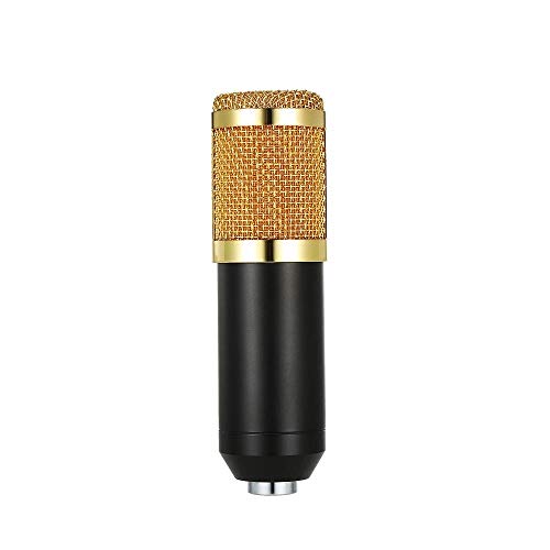 Micrófono Karaoke Profesional Micrófono del Estudio de grabación Micrófono de Condensador de Radiodifusión para la Difusión (Color : Gold, Size : One Size)