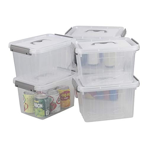 Minekkyes Caja de Almacenamiento Transparente de PláStico, Contenedor con Tapa, Paquete de 6