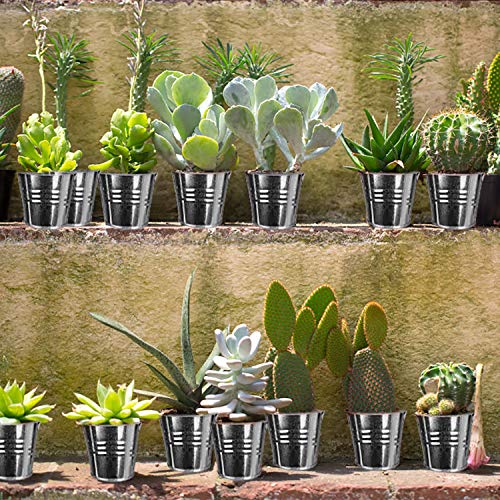 Mini cubos de metal 12 Piezas Pequeños cubos de metal Para Plantas De Jardinería Decoración De Fiestas En Casa 7,5 x 8 x 5,5 cm